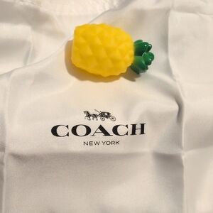 Coach White Big Dust Bag